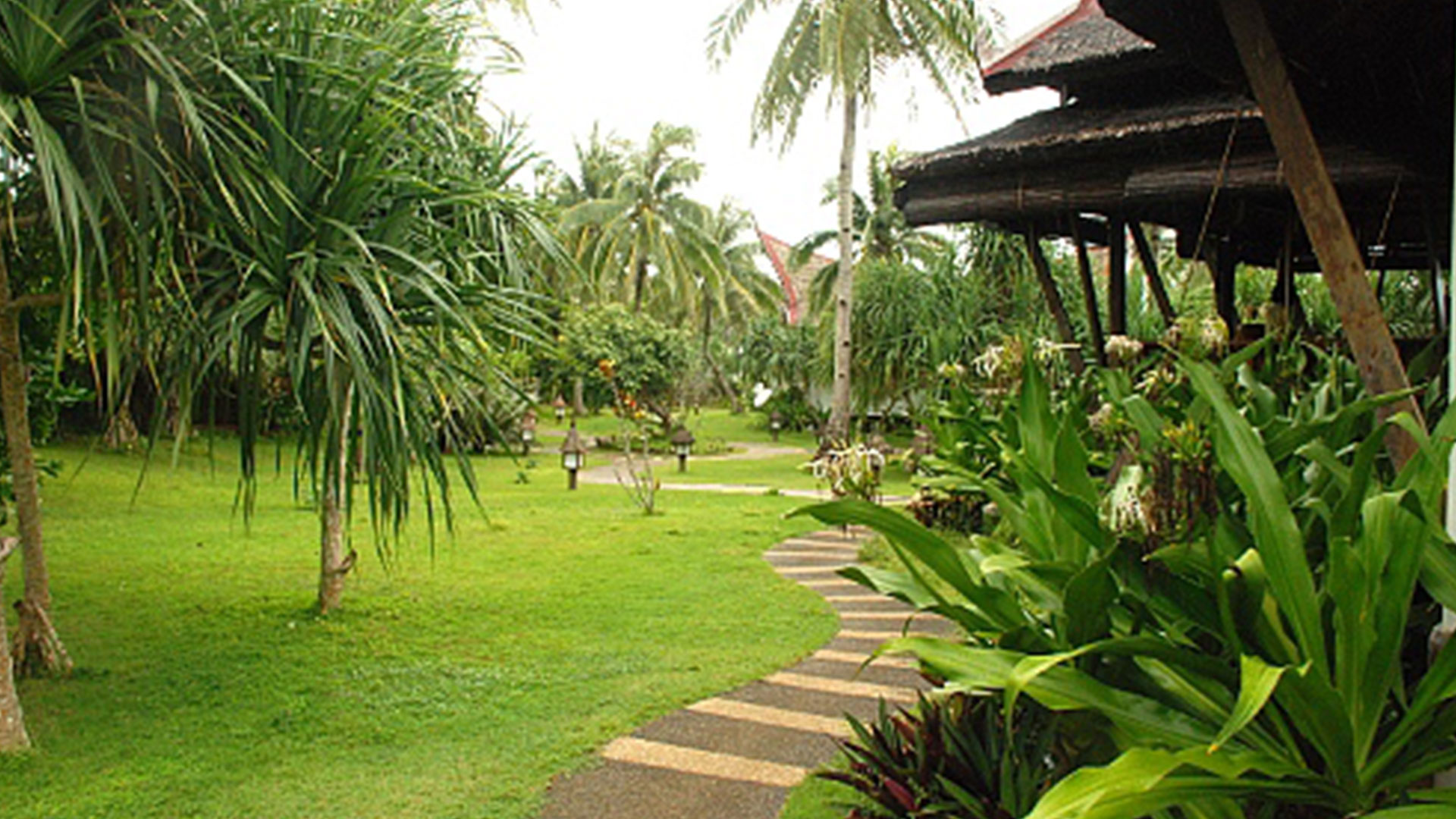 The-Surf-Camp-Resort-at-Calicoan-Island-7