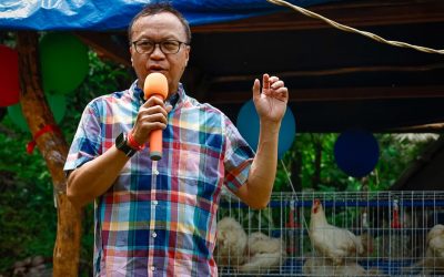 Gobyerno probinsyal, naghatag hin ready-to-lay chicken livelihood project para ha mga parag-uma