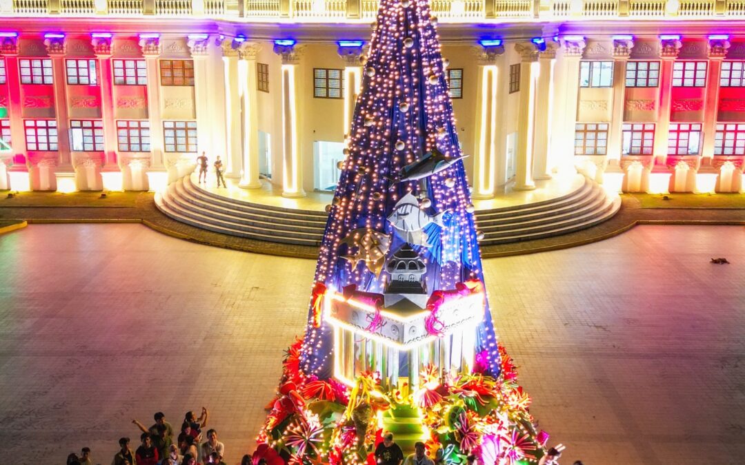 Provincial government unveils underwater-themed Christmas tree