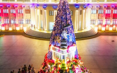 Provincial government unveils underwater-themed Christmas tree