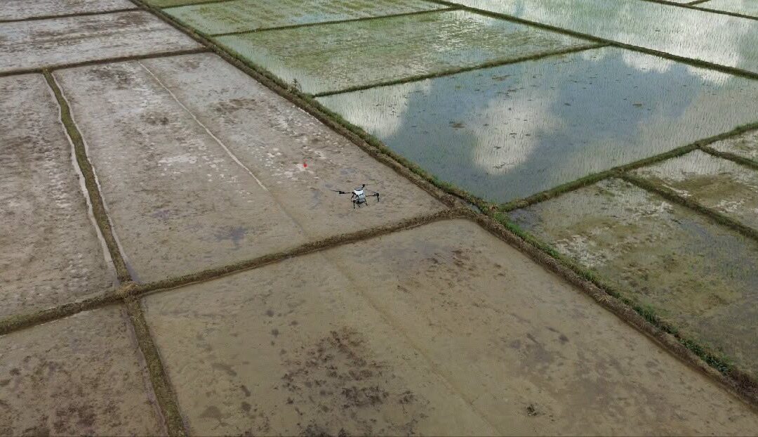 Padayon nga suporta ha mga parag-uma pinaagi han Rice Derby 20206 ha probinsya